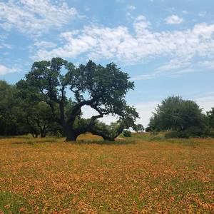 Meet your Posher, Bob